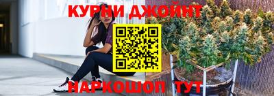 молекула духа Будённовск