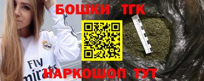 молекула духа Будённовск
