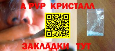 молекула духа Будённовск