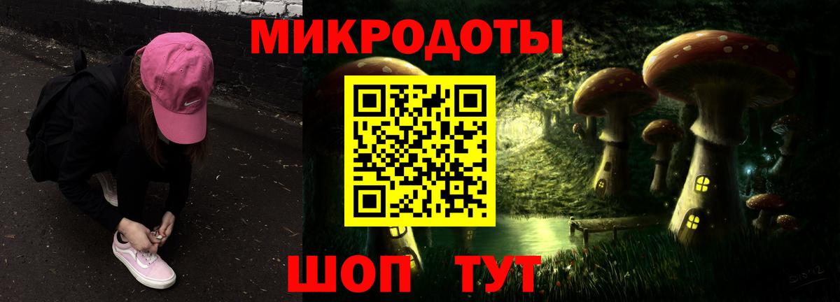 Галлюциногенные грибы Psilocybe  Вход с VPN  Галлюциногенные грибы GOLDEN TEACHER  Новозыбков 